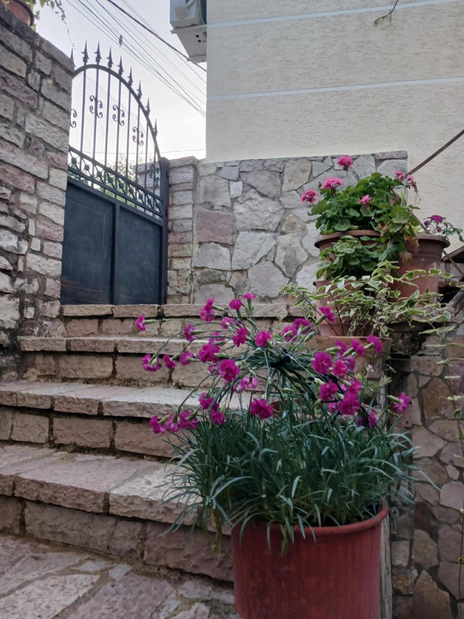 Eniguesthouse Gjirokastër Buitenkant foto